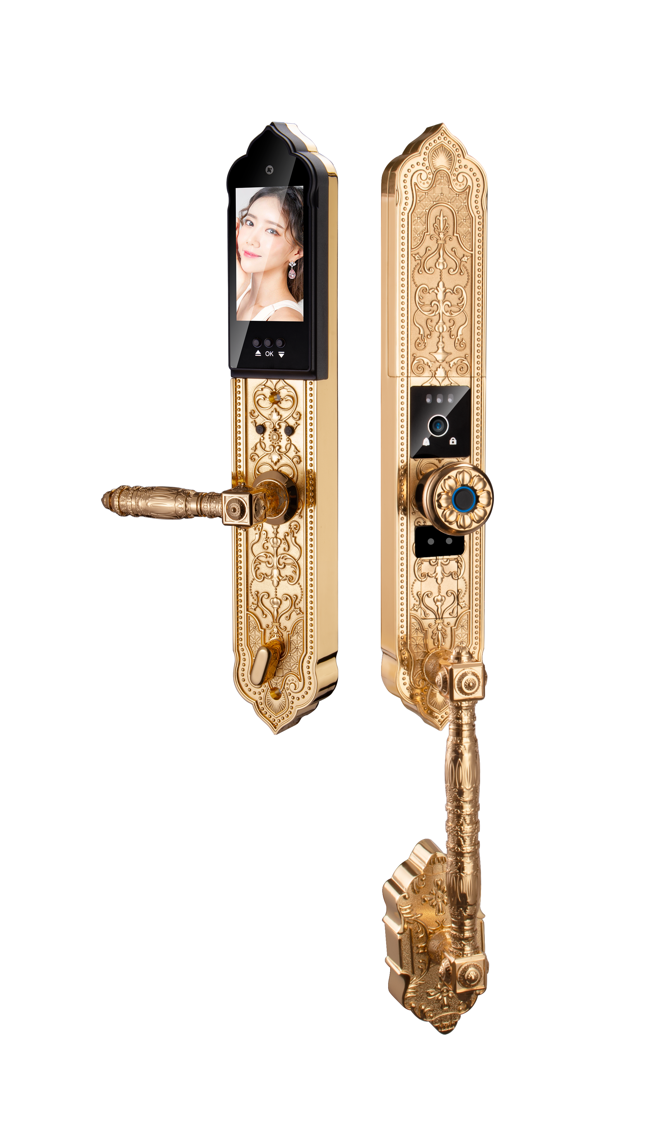 Face Lock 24K Golden Smart Home Lock Tuya Digital Door Lock APP Remote Video Call Lock