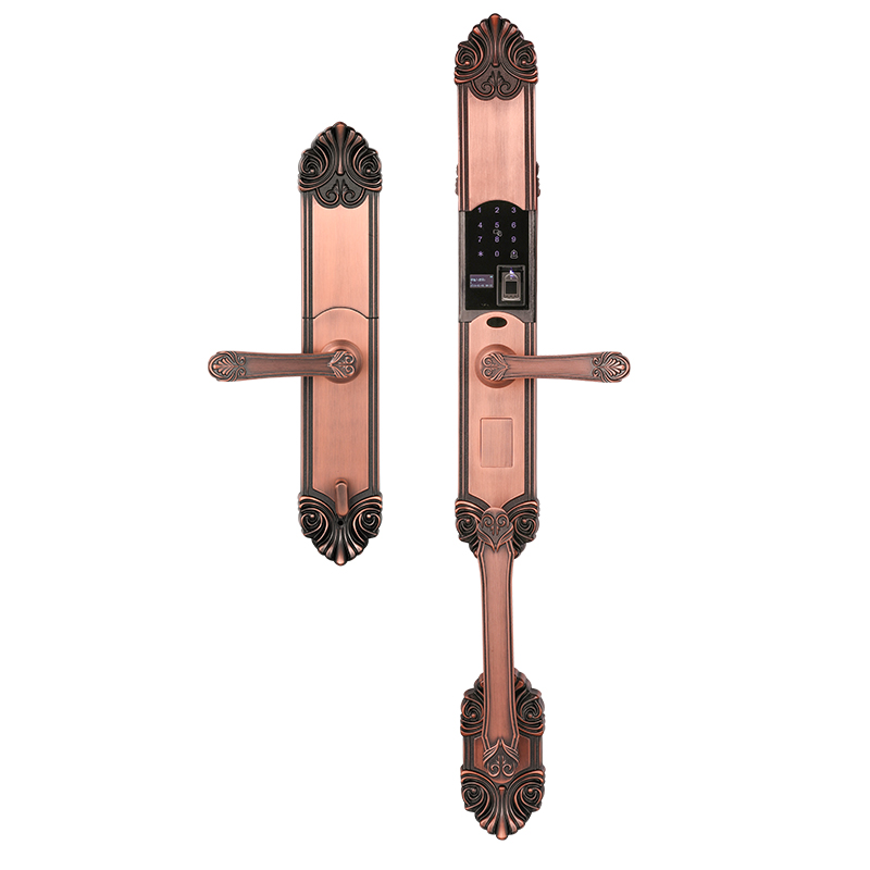 European Smart Home Door Lock Battery Supply Tuya Wifi Smart Door Lock